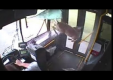 Форсаж … олень летит через окно автобуса
